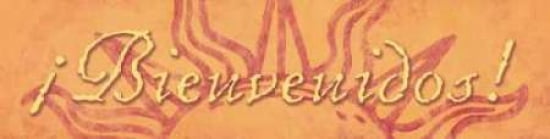 Bienvenidos Canvas Art - Stephanie Marrott (8 x 24)
