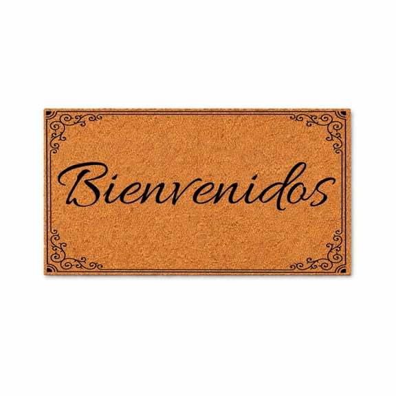 Bienvenidos Doormat, Spanish Welcome Mat, Fancy Border Entry Rug, Housewarming Gift, New Home Closing Gift, Engagement Gift 7734 (16x24 inches) 7734