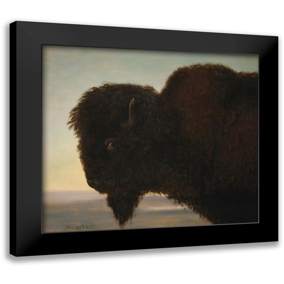 Bierstadt, Albert 13x12 Black Modern Framed Museum Art Print Titled - Buffalo Head