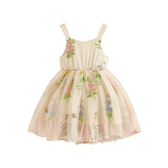 Biezeib Baby Girl Princess Dress Sleeveless Floral Embroidery Tulle Dress Toddler Party Dress