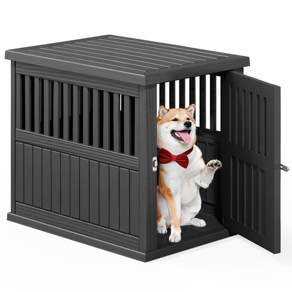 Bifanuo Dog Crate, Decorative Plastic Kennel with Locking Latch for Small to Medium Breeds, Indoor, Black