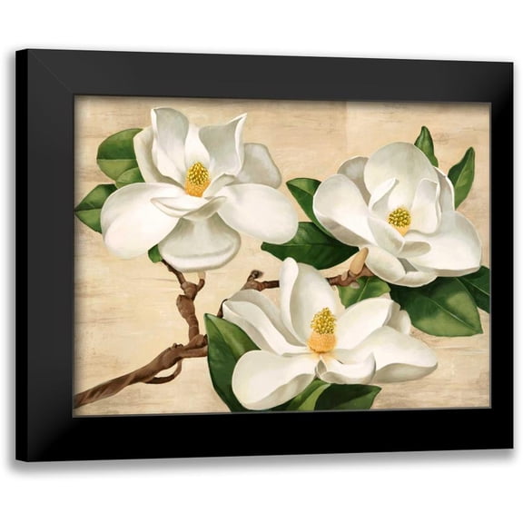 Biffi, Serena 14x12 Black Modern Framed Museum Art Print Titled - Magnolie bianche