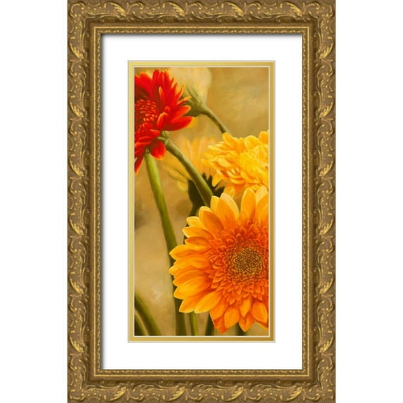 Biffi, Serena 18x32 Gold Ornate Wood Framed with Double Matting Museum Art Print Titled - Gerbere nel sole I