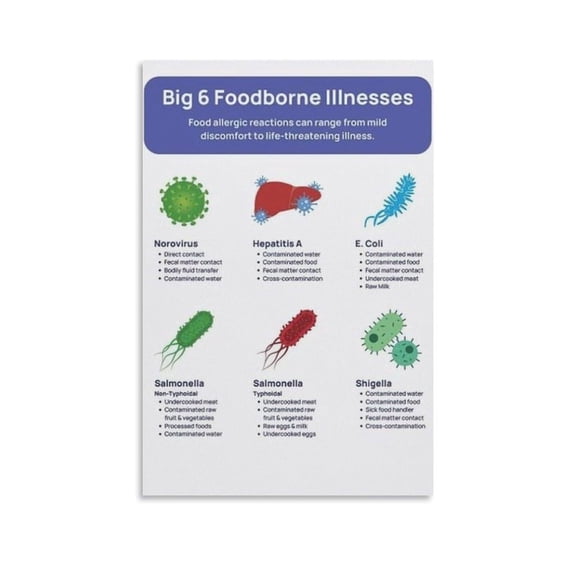 Big 6 Foodborne Illnesses Food Safety Guide Poster Canvas Print Aesthetic Decor Bedroom Bathroom Preppy Dorm Home Posters Garage Decor