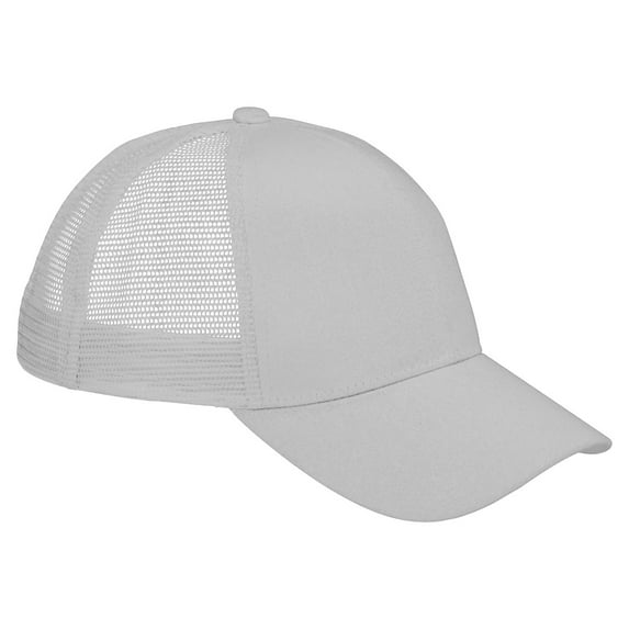 Big Accessories BAGedge 6-Panel Structured Trucker Cap, Style BX019