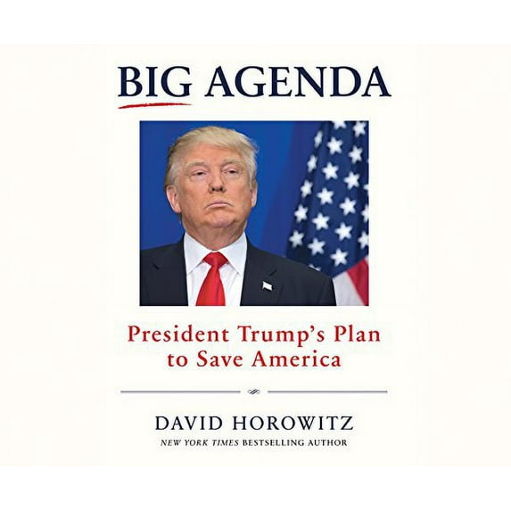 Pre-Owned Big Agenda: President Trump's Plan to Save America Paperback