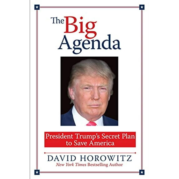 Pre-Owned Big Agenda: President Trump's Plan to Save America (Hardcover) 1630060879 9781630060879