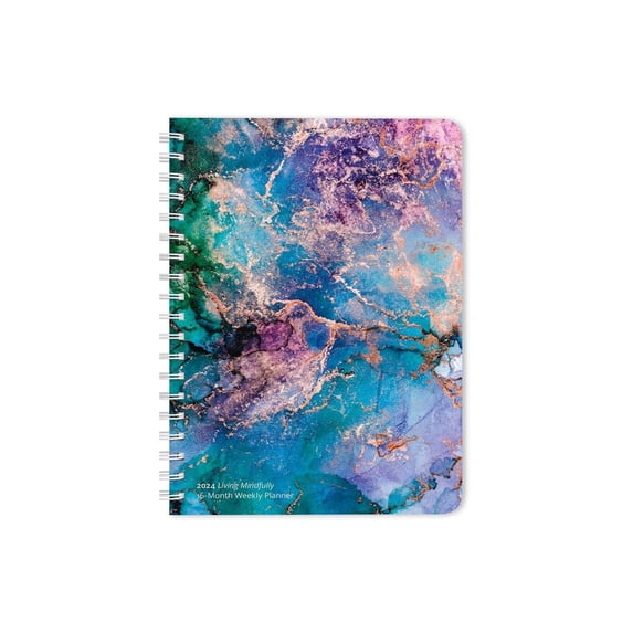 Big Ambitions 2024 Karma Planner Brush Dance (Other)