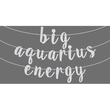 Big Aquarius Energy Banner, Happy Birthday Aquarius Bunting Sign, 12 Constellation Zodiac Theme Birthday Party Decorations Supplies for Boy and Girl, Silver Glitter