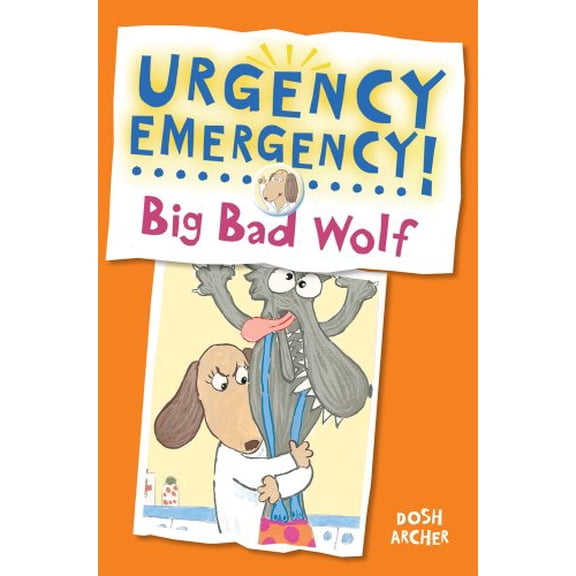 Pre-Owned Big Bad Wolf (Hardcover) 0807583529 9780807583524