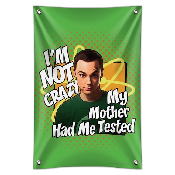 Big Bang Theory Sheldon Cooper I'm Not Crazy Home Business Office Sign