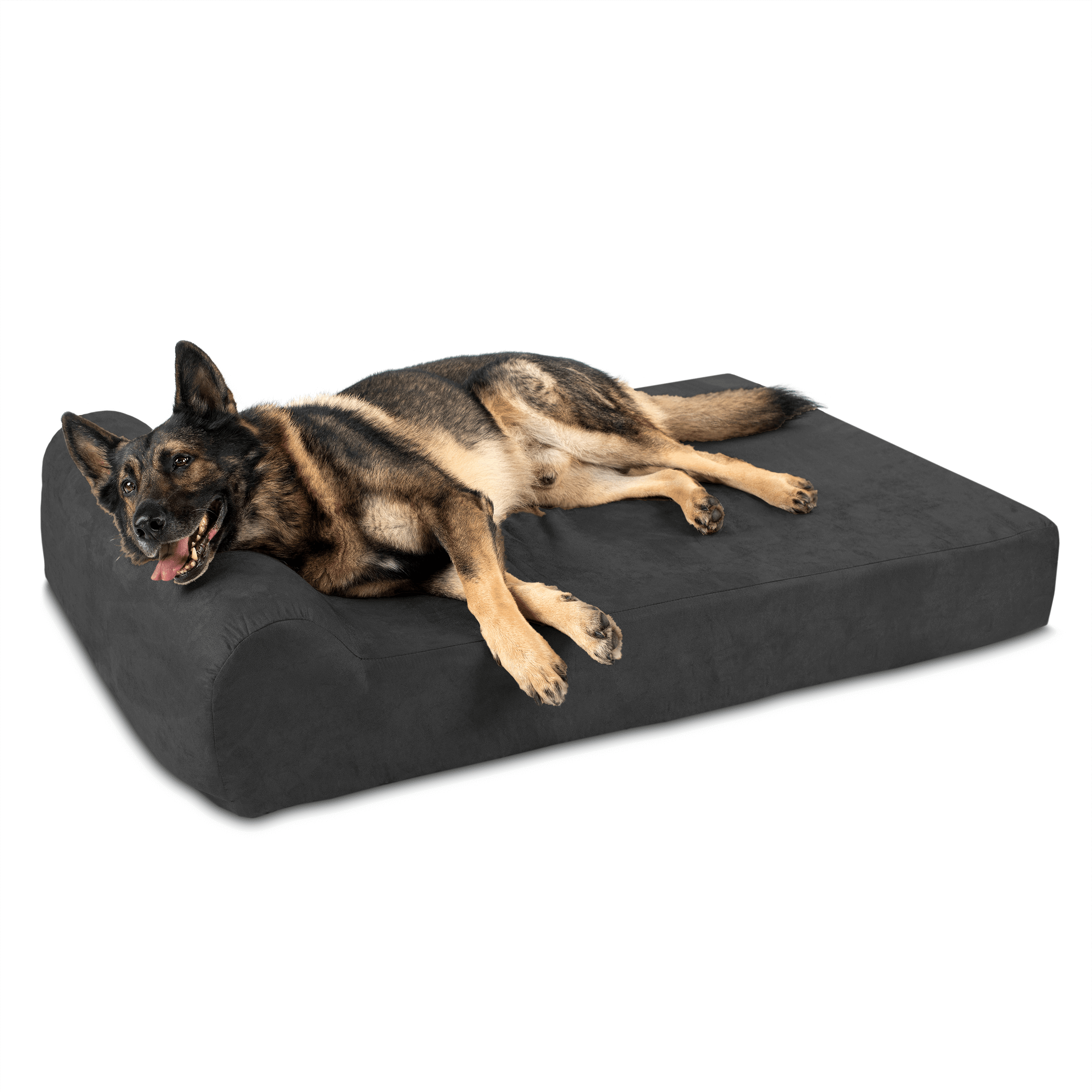 Barker beds for dogs 2025