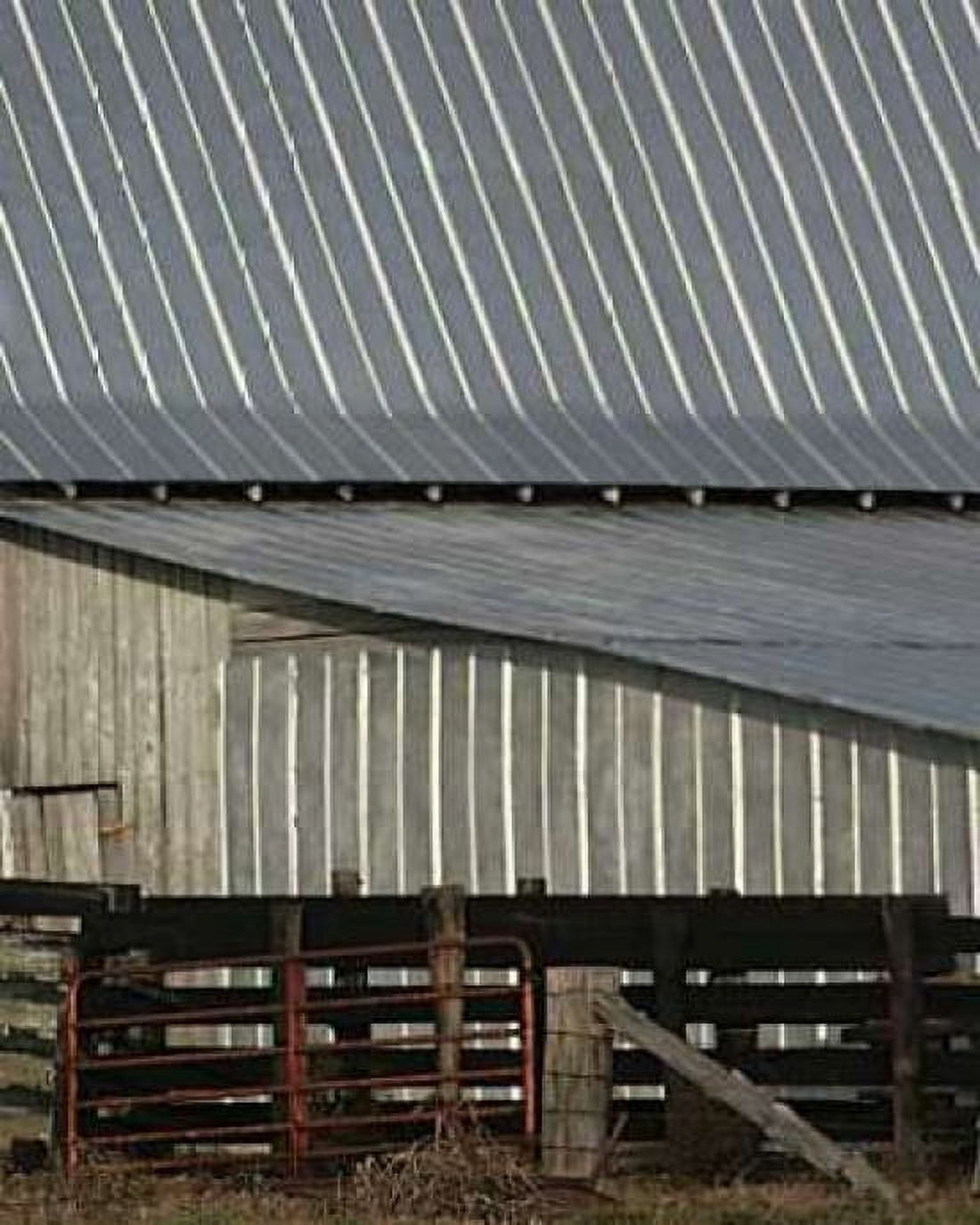 Big Barn I Canvas Art - Scott Larson (20 x 24)