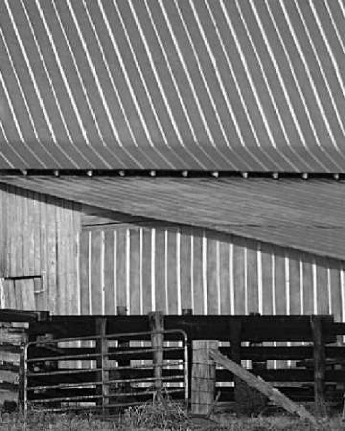 Big Barn II Canvas Art - Scott Larson (20 x 24)