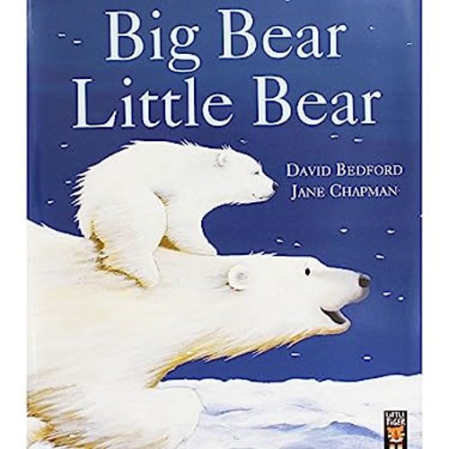 Pre-Owned Big Bear Little Bear (Paperback) 1848694806 9781848694804