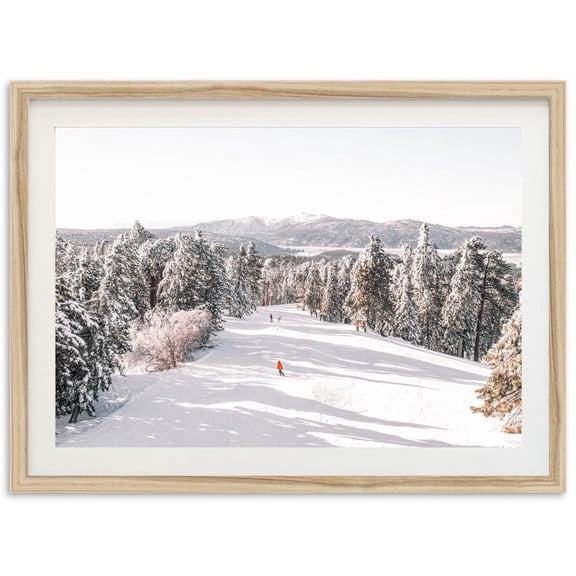 Big Bear Snowboard Mountain Wall Art Home Decor