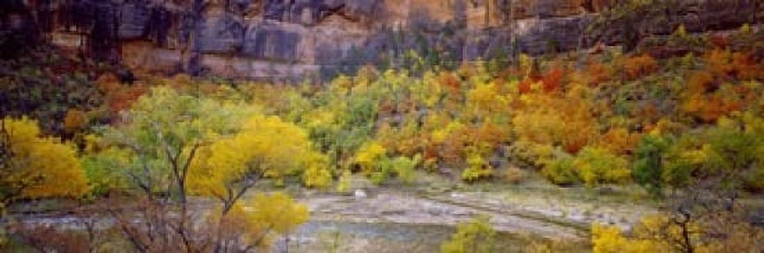 Big Bend in fall Zion National Park Utah USA Canvas Art - Panoramic Images (18 x 6)