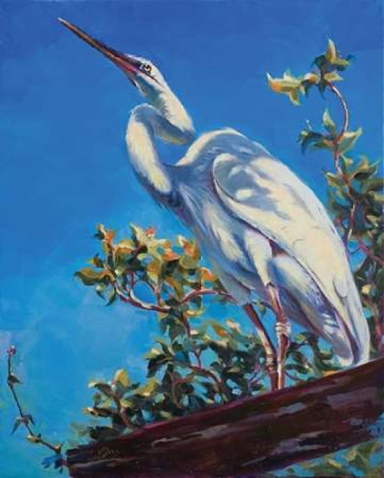 Big Bird Canvas Art - Kathleen Denis (24 x 30)