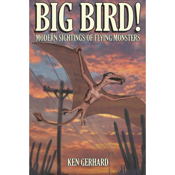 Big Bird! - Modern Sightings of Flying Monsters, (Paperback)