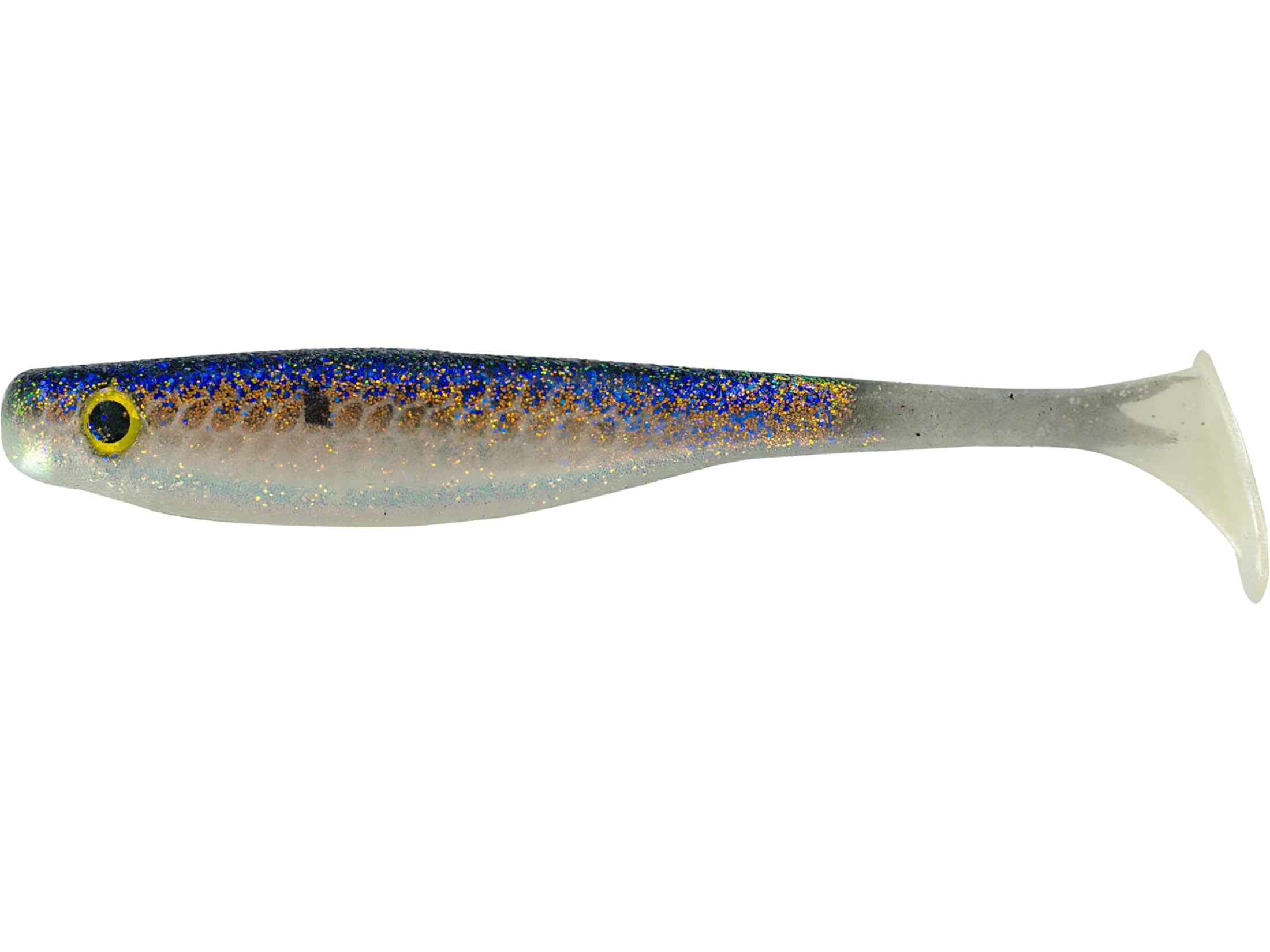 Gizzard Shad