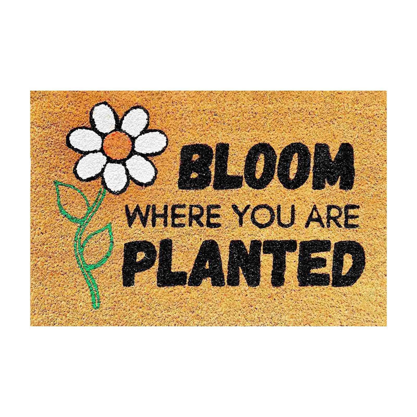 Big Blanket Soft Shag Area Rug Throw Blanket for Bed Winter Blanket for