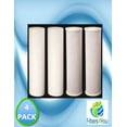 thumbnail image 1 of Big Blue CTO Carbon Block & Sediment 20”x4.5" Replacement Filter Cartridges Set, 1 of 6