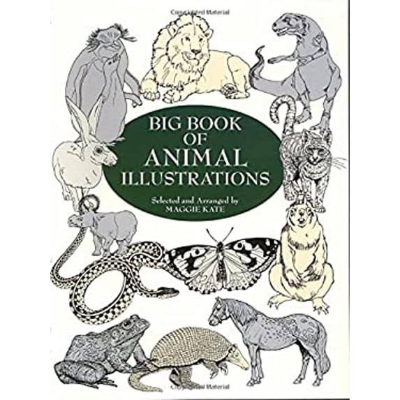Pre-Owned Big Book Animal Illustrations (Dover Pictorial Archive) Paperback
