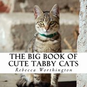 The Big Book of Cute Tabby Cats A text-free book for Seniors and Alzheimers patients, Paperback