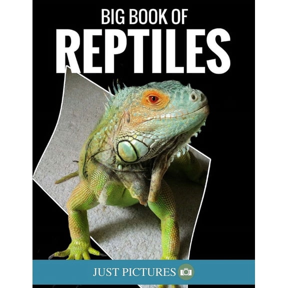 Big Book of Reptiles : Just Pictures!