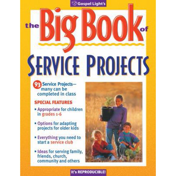 Pre-Owned Big Book of Service Projects (Big Books) (Paperback) 0830726330 9780830726332