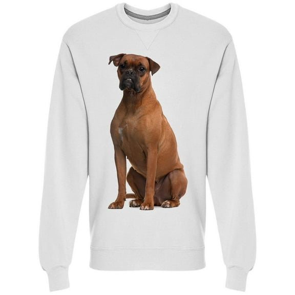 Big Boxer Is Sitted Sweatshirt Men - Men Sweatshirt, 3XL