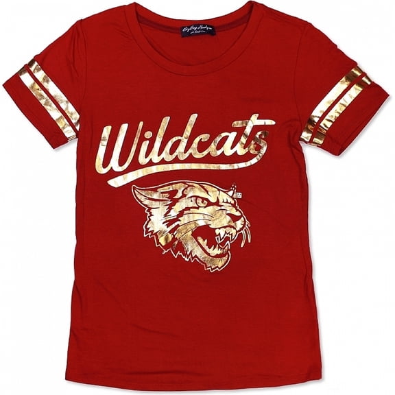 Big Boy Bethune-Cookman Wildcats S2 Ladies Jersey Tee [Maroon - L]