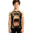 thumbnail image 1 of Big Boys Short Sleeve T-Shirt Monkey Print Animal Graphic Unisex Casual Tops for School Outdoor Holiday Size 11-12T, 1 of 5