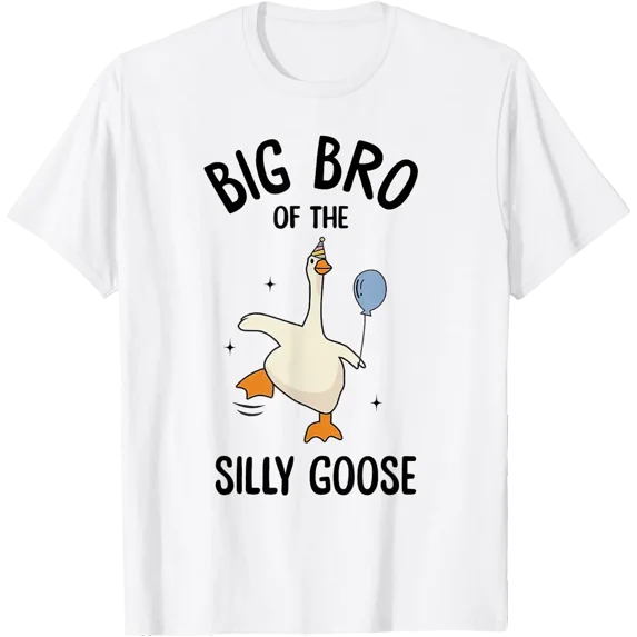 Big Bro Silly Goose First Birthday Family Matching T-Shirt - Walmart.com