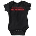 thumbnail image 1 of Big Brother Baby Announcement Cute Bodysuit Jumper Boys Infant Baby Brisco Brands 6M, 1 of 6