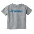 thumbnail image 1 of Big Brother Baby Announcement Cute Youth T Shirt Tee Boys Infant Toddler Brisco Brands 18M, 1 of 5