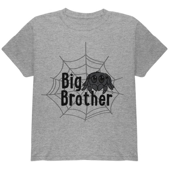 Big Brother Cute Spider Youth T Shirt Heather YXL