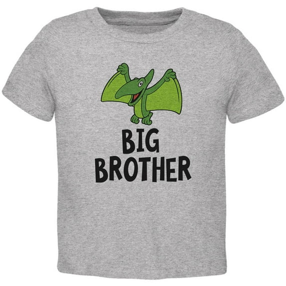 Big Brother Dino Dinosaur Pterodactyl Toddler T Shirt Heather 4T