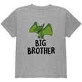 thumbnail image 1 of Big Brother Dino Dinosaur Pterodactyl Youth T Shirt Heather YSM, 1 of 1