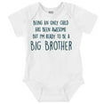thumbnail image 1 of Big Brother's New Baby Announcement Bodysuit Jumper Boys Infant Baby Brisco Brands 24M, 1 of 6