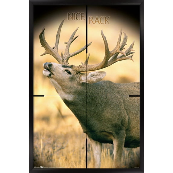 Big Buck Wall Poster, 22.375" x 34", Framed