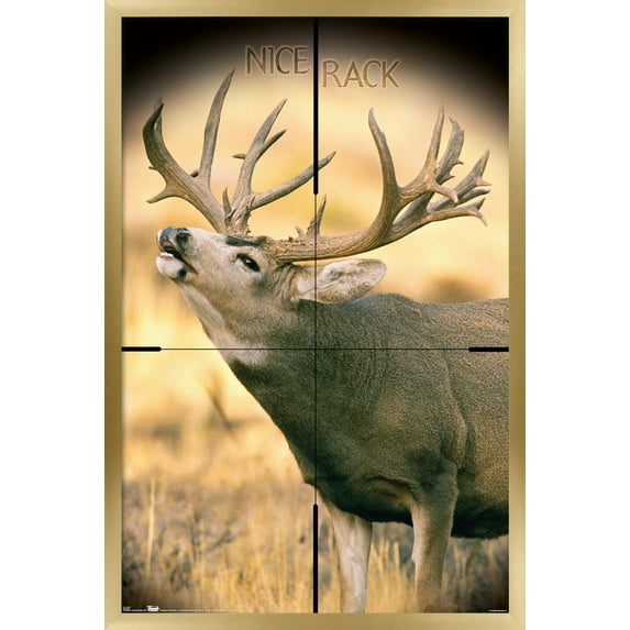 Big Buck Wall Poster, 22.375" x 34", Framed