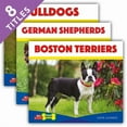 thumbnail image 1 of Big Buddy Dogs Big Buddy Dogs (Set), (Hardcover), 1 of 1