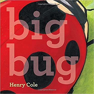 Pre-Owned Big Bug Paperback