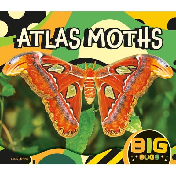 Big Bugs Atlas Moths, (Hardcover)