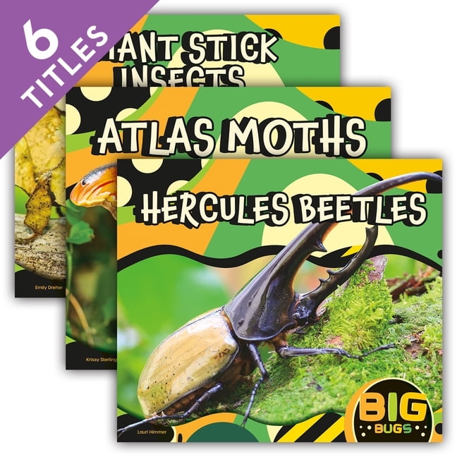 Big Bugs Big Bugs (Set), (Hardcover)