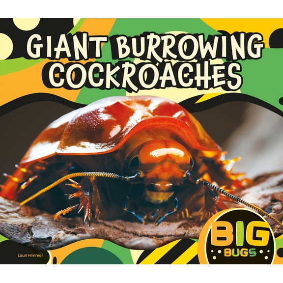 Big Bugs Giant Burrowing Cockroaches, (Hardcover)