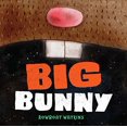 thumbnail image 1 of Pre-Owned Big Bunny: (Funny Bedtime Read Aloud Book for Kids, Bunny Book) (Hardcover) 1452163901 9781452163901, 1 of 1
