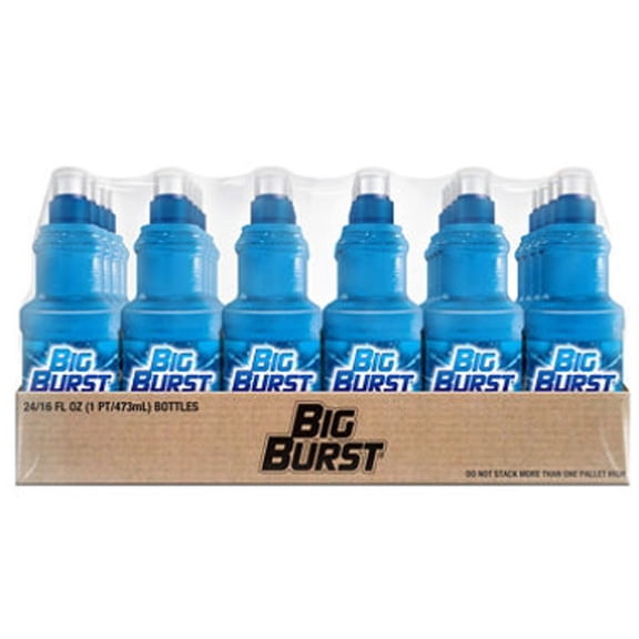 Big Burst Blue Raspberry Fruit Drink 16oz Plastic Bottles 24 Pack Case