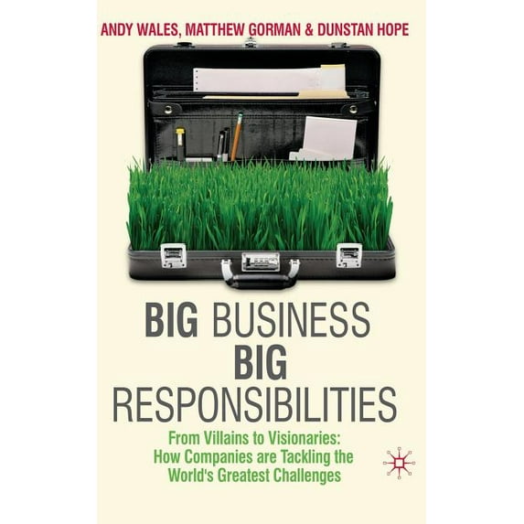 Big Business, Big Responsibilities: From Villains to Visionaries: How Companies Are Tackling the World's Greatest Challe, (Hardcover)